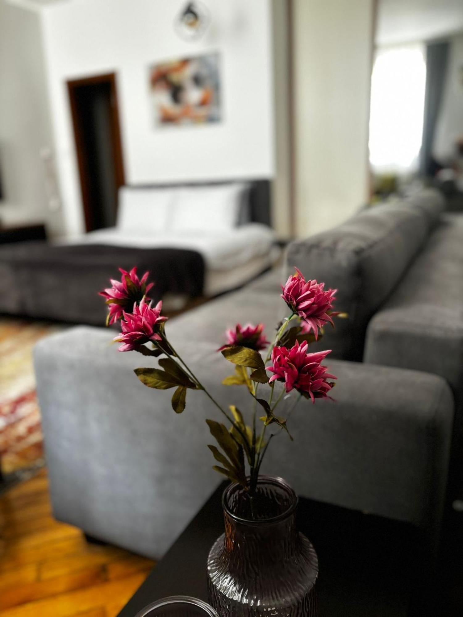 Apartment Mila 塞拉耶佛 外观 照片